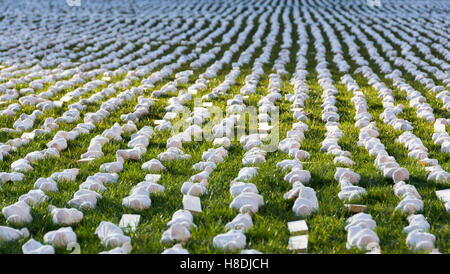 College Green, Bristol, UK. 11. November 2016. 19240 Wanten an der Somme, eine Installation von Somerset Künstler Rob Heard erscheint vor der Kathedrale am College Green in Bristol am Tag des Waffenstillstands 2016. Jedes Tuch ist ein Leben verloren ging am ersten Tag der Schlacht an der Somme (1. Juli 1916). Bildnachweis: Carolyn Eaton/Alamy Live-Nachrichten Stockfoto