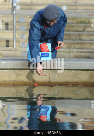 Swansea, Wales, Großbritannien. 11. November 2016 The Armistice Day Service in Swansea den Burgplatz, darunter zwei Schweigeminuten am 11:00, derer gedenken, die gefallen sind. Eine Mohnblume ist durch ein Kadett im Zeichen des Respekts ins Wasser geworfen.  Bildnachweis: Robert Melen/Alamy Live-Nachrichten. Stockfoto