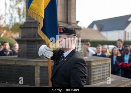 Brentwood, Essex, 11. November 2016, britische Legion Standartenträger, Tag des Waffenstillstands in Brentwood, Essex Credit: Ian Davidson/Alamy Live-Nachrichten Stockfoto