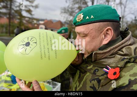 Kyjov, Tschechische Republik. 11. November 2016. Die Feier des Krieges Veterans Day durch die Schaffung von riesigen Mohn aufblasbare Bälle fand in Kyjov, Tschechische Republik, am Freitag, 11. November 2016. Der Tschechischen Republik War Veterans Day im November 2001 eingeführt. Der Tag wurde symbolisch gewählt, weil der Waffenstillstand Ende des großen Krieges am 11. November 1918 in Kraft getreten. Im Ausland, in englischsprachigen Ländern und in Frankreich vor allem dies ist ein anerkannter Feiertag, aber in der Tschechischen Republik hat es nicht noch so gewesen. Bildnachweis: Vaclav Salek/CTK Foto/Alamy Live-Nachrichten Stockfoto