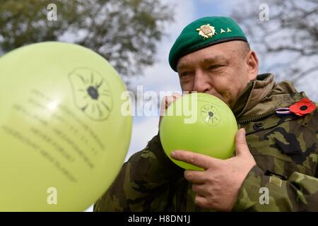 Kyjov, Tschechische Republik. 11. November 2016. Die Feier des Krieges Veterans Day durch die Schaffung von riesigen Mohn aufblasbare Bälle fand in Kyjov, Tschechische Republik, am Freitag, 11. November 2016. Der Tschechischen Republik War Veterans Day im November 2001 eingeführt. Der Tag wurde symbolisch gewählt, weil der Waffenstillstand Ende des großen Krieges am 11. November 1918 in Kraft getreten. Im Ausland, in englischsprachigen Ländern und in Frankreich vor allem dies ist ein anerkannter Feiertag, aber in der Tschechischen Republik hat es nicht noch so gewesen. Bildnachweis: Vaclav Salek/CTK Foto/Alamy Live-Nachrichten Stockfoto