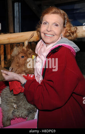 Salzburg, Österreich. 10. November 2016. Schauspielerin Jutta Kammann posiert mit einem Schaf auf die traditionelle Eröffnung des Weihnachtsmarkts auf Gut Aiderbichl in Henndorf bei Salzburg, Österreich, 10. November 2016. Foto: URSULA Düren/Dpa/Alamy Live News Stockfoto