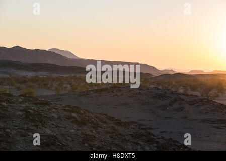 Farbenfrohen Sonnenuntergang über der Namib-Wüste, Namibia, Afrika. Bergen, Dünen und Acacia Bäume Silhouette im Gegenlicht. Orange-Rot cl Stockfoto