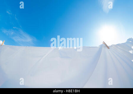 Saubere weiße Blätter trocknen in der Sonne. Stockfoto