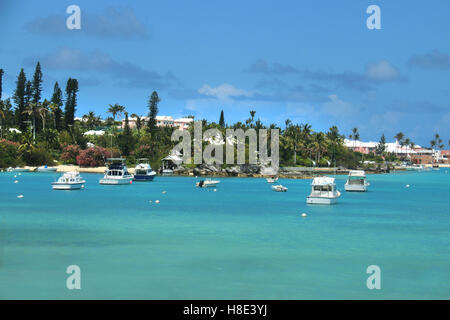 Tropische Küste von Bermuda mit türkisfarbenen Ozeans & Vegetation. Stockfoto