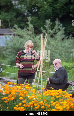 Das Golden Hill Gemeinschaftsgarten in Bristol UK Stockfoto
