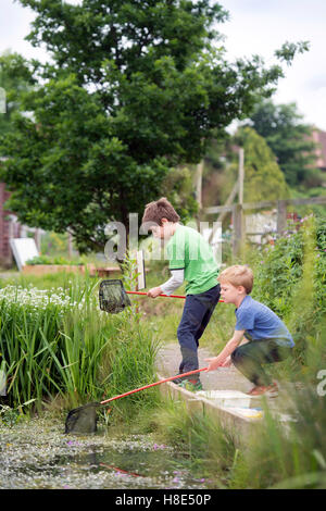 Teich Eintauchen im The Golden Hill Community Garden in Bristol, Großbritannien Stockfoto