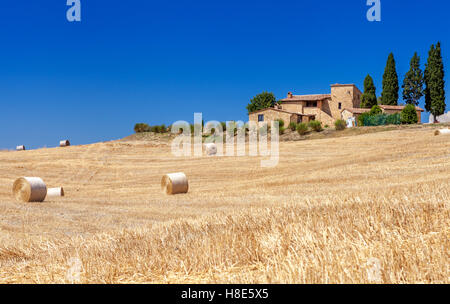 Montepulciano, Italien Landschaften der Toskana, Italien. Viele Rundballen und Heuhaufen in den Bereichen. Stockfoto