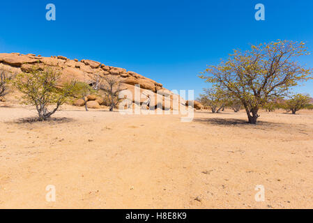 Die Namib-Wüste bei Twyfelfontein, der majestätische Damaraland Brandberg Region, malerischen Reiseziel in Namibia, Afrika. BR Stockfoto