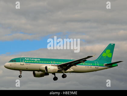 Aer Lingus Airbus A320 Landung am Flughafen Cork, Irland mit Textfreiraum. Stockfoto