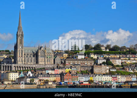 Str. Colmans Kathedrale überragt die Küsten Stadt von Cobh (ehemals Queenstown), County Cork, Irland Stockfoto