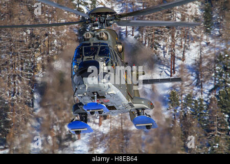 Ein Super-Puma von der Schweizer Luftwaffe, die Landung am Engadin Airport in Samedan/Schweiz 26.01.2013 Stockfoto