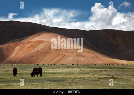 Landschaft des Pamir Pamir Tadschikistan - BGAO Provinz - Dach der Welt Stockfoto