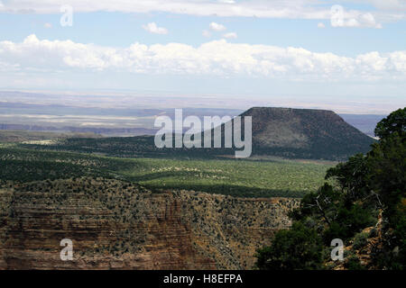 Grand Canyon View, Arizona Stockfoto