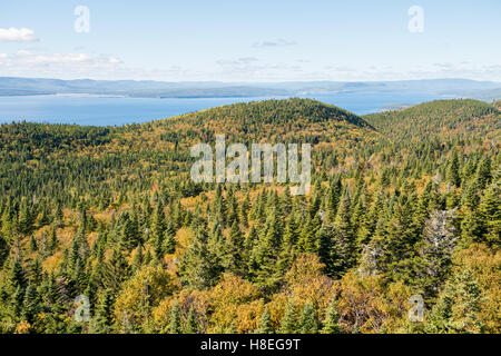 Blick vom Mont-Saint-Alban Aussichtspunkt im Forillon Nationalpark, Gaspe Halbinsel, Quebec, Kanada. Stockfoto