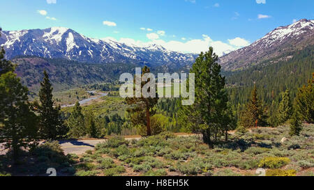 Schöne Aussicht auf Highway 108 (Sonora Pass) Stockfoto