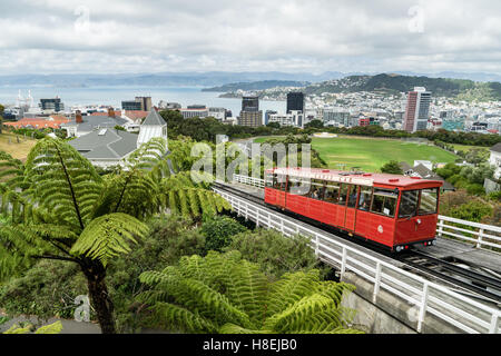 Eine Seilbahn Heads-up die Standseilbahn hoch über Wellington, der Hauptstadt, North Island, Neuseeland, Pazifik Stockfoto