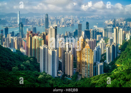 Hong Kong an einem Sommernachmittag, gesehen vom Victoria Peak, Hong Kong, China, Asien Stockfoto