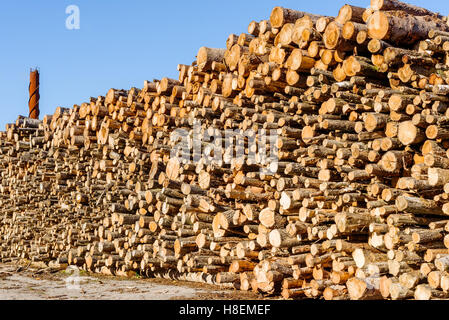 Großen Stapel von Holz mit Kamin im Hintergrund. Dieses Holz ist für solide Biokraftstoff in ein kleines Heizwerk. Stockfoto