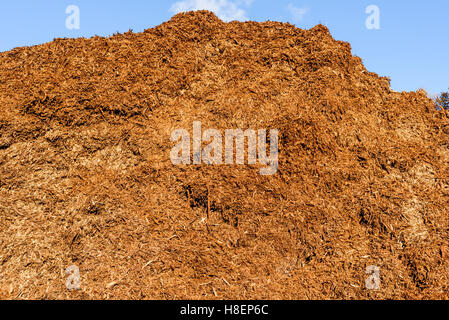 Große Haufen von Biomasse Festbrennstoffe in Form von Medium sized Hackschnitzel. Stockfoto