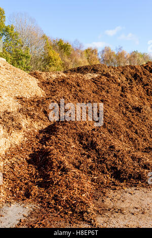 Große Haufen von Biomasse Festbrennstoffe in Form von Medium sized Hackschnitzel. Stockfoto