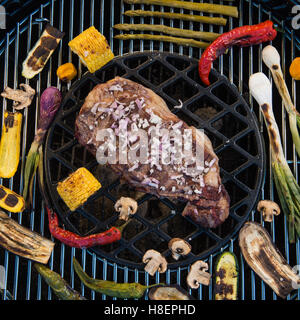 Sortierte leckeres Gegrilltes Fleisch mit Gemüse über die Kohlen auf einem Grill, Frankreich Stockfoto