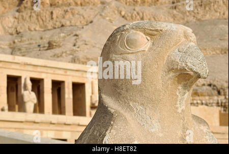 Nahaufnahme von Falcon, Horus-Statue an der Leichenhalle Tempel der Königin Hatshepsut in Deir el Bahri in der Nähe von Luxor, Ägypten, Nordafrika Stockfoto