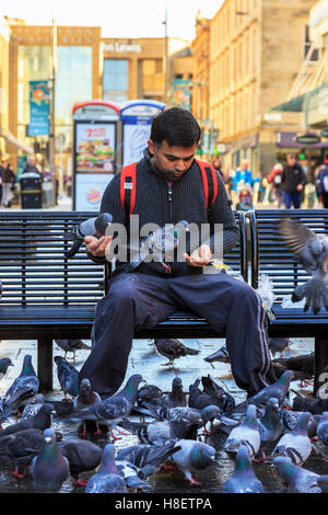 Junger Mann Fütterung Ferral Tauben in der Sauchiehall Street, Glasgow, Sscotland Stockfoto