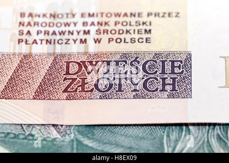 Polnischer Zloty closeup Stockfoto