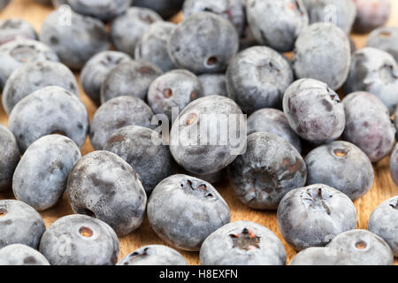 reifen Beeren-Heidelbeere Stockfoto