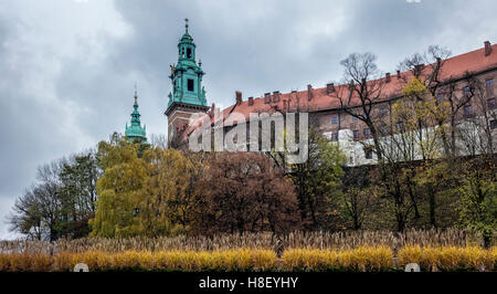 Gelb und orange Blätter auf den Bäumen vor dem Schloss und Kathedrale in Krakau in Polen Stockfoto