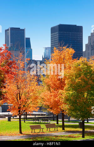 Herbst in Montreal, Kanada Stockfoto