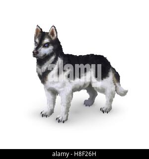 Fotorealistische niedliche husky Hund isoliert auf weiss Stock Vektor