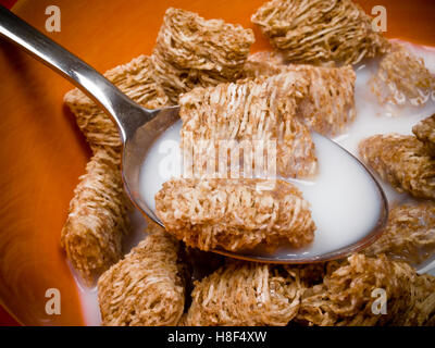 Weizen-Getreide und Milch in einer Schüssel mit Löffel Stockfoto
