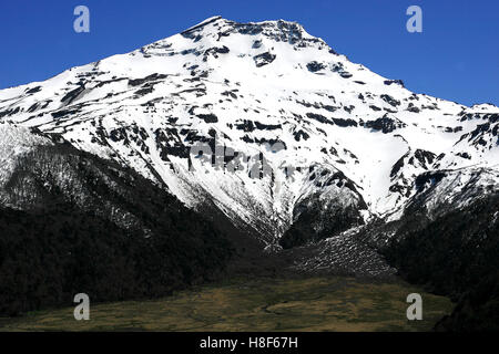 Blick auf den Vulkan Lonquimay im Süden von Chile Stockfoto