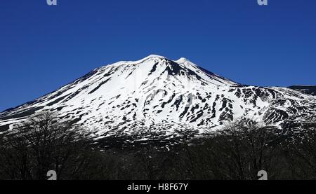 Blick auf den Vulkan Lonquimay im Süden von Chile Stockfoto