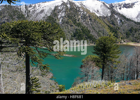 Blick auf die Laguna Blanca im Süden von Chile Stockfoto