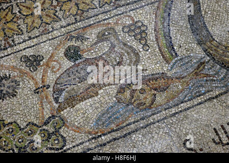 Detail von den großen des 20. Jahrhunderts Bodenmosaik Darstellung der Geschichte von der Arche Noah im Inneren Kapelle von St. Helena die Helena, die Mutter von Kaiser Constantine und Überlieferung, gewidmet ist, die das Kreuz bei ihrem Besuch im 326AD in der Heilig-Grab-Kirche in Altstadt Ost-Jerusalem Israel entdeckt Stockfoto