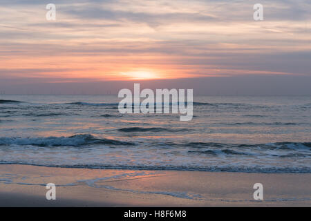 Lila Sonnenuntergang am Strand von Egmond Aan Zee, Niederlande, Nord-Holland Stockfoto