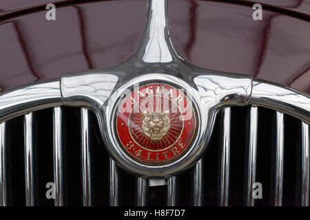 Emblem auf Kühler grill von 4 Liter Jaguar 3 britische Oldtimer Stockfoto