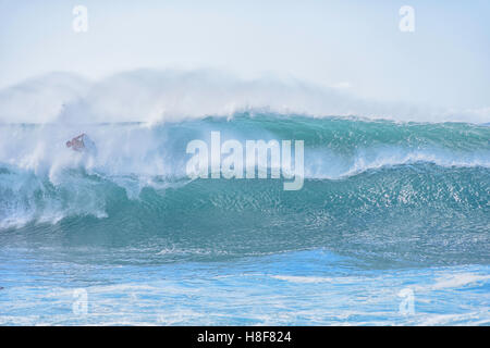 Bodyboarder, Banzai Pipeline, Ehukai Beach Park in Pupukea auf Oahu North Shore Hawaii. "Wellenlinien" 15-20 Fuß. Stockfoto