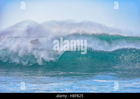 Bodyboarder, Banzai Pipeline, Ehukai Beach Park in Pupukea auf Oahu North Shore Hawaii. "Wellenlinien" 15-20 Fuß. Stockfoto