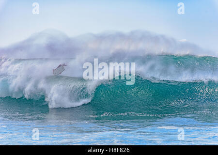 Bodyboarder, Banzai Pipeline, Ehukai Beach Park in Pupukea auf Oahu North Shore Hawaii. "Wellenlinien" 15-20 Fuß. Stockfoto