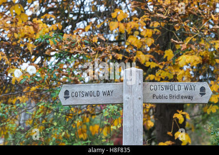 Cotswold Way Wegweiser vor Bäumen im Herbst. Cotswolds, England Stockfoto