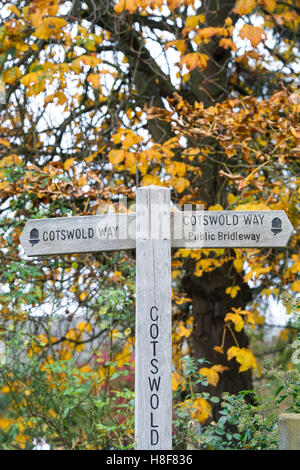 Cotswold Way Wegweiser vor Bäumen im Herbst. Cotswolds, England Stockfoto