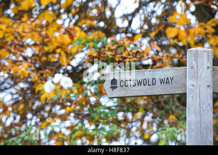 Cotswold Way Wegweiser vor Bäumen im Herbst. Cotswolds, England Stockfoto