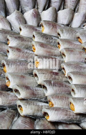 Thai getrocknete gesalzene Fische Making - Snakeskin Gurami auf dem Lebensmittelmarkt in Thailand Stockfoto