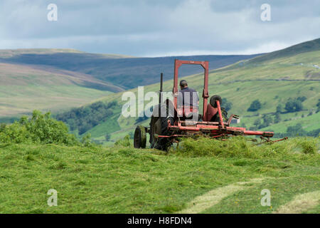 Landwirt in Wensleydale drehen Rasen, Heu mit einem Oldtimer Massey Ferguson-Traktor zu machen. Hawes, North Yorkshire, UK. Stockfoto