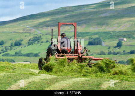 Landwirt in Wensleydale drehen Rasen, Heu mit einem Oldtimer Massey Ferguson-Traktor zu machen. Hawes, North Yorkshire, UK. Stockfoto