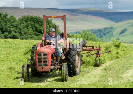 Landwirt in Wensleydale drehen Rasen, Heu mit einem Oldtimer Massey Ferguson-Traktor zu machen. Hawes, North Yorkshire, UK. Stockfoto